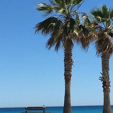 Dimalbirpark Ground Floor A Appartement El Albir